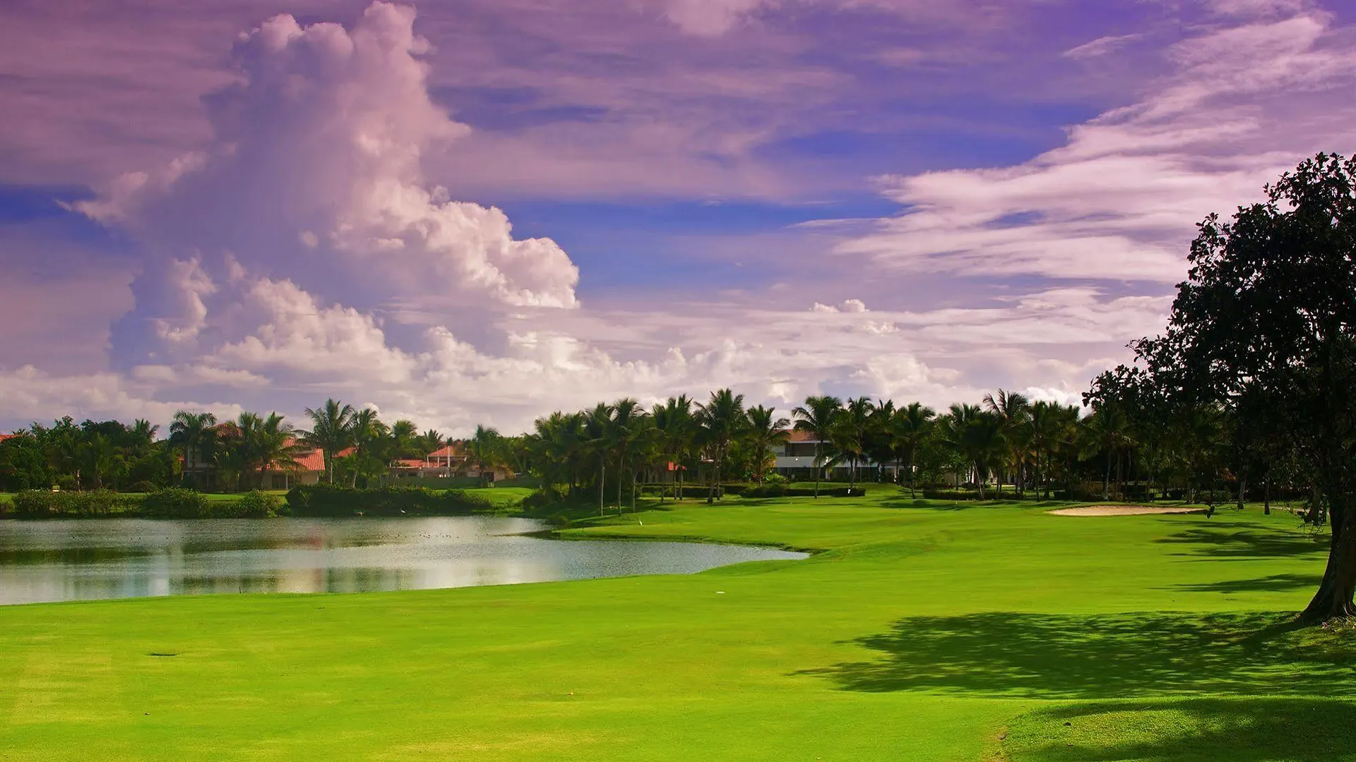 Melia Caribe Tropical All Inclusive (Adults Only) Punta Cana